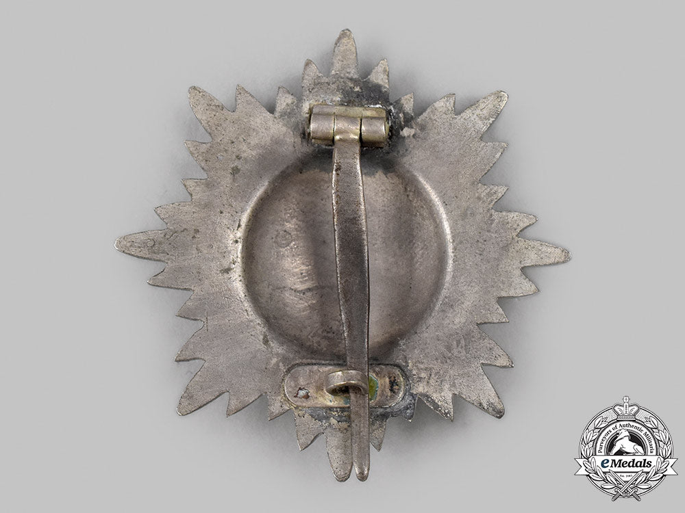 germany,_wehrmacht._an_eastern_people’s_decoration,_i_class_in_silver_with_swords_39_m21_mnc2692