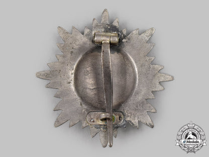 germany,_wehrmacht._an_eastern_people’s_decoration,_i_class_in_silver_with_swords_39_m21_mnc2692