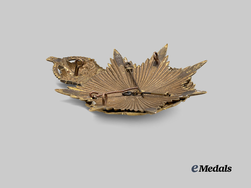 united_kingdom._a_king's_liverpool_officer's_helmet_plate,_c.1905_e_medals__g_b8643_4