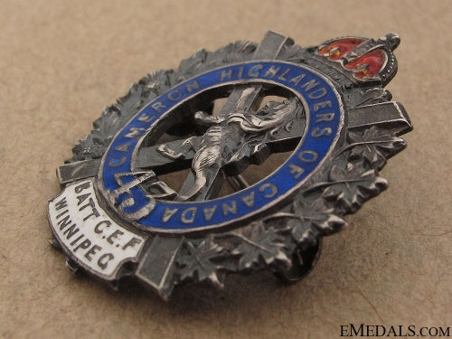wwi43_rd_infantry_battalion_pin_cef_3.jpg51c9d13fa6432