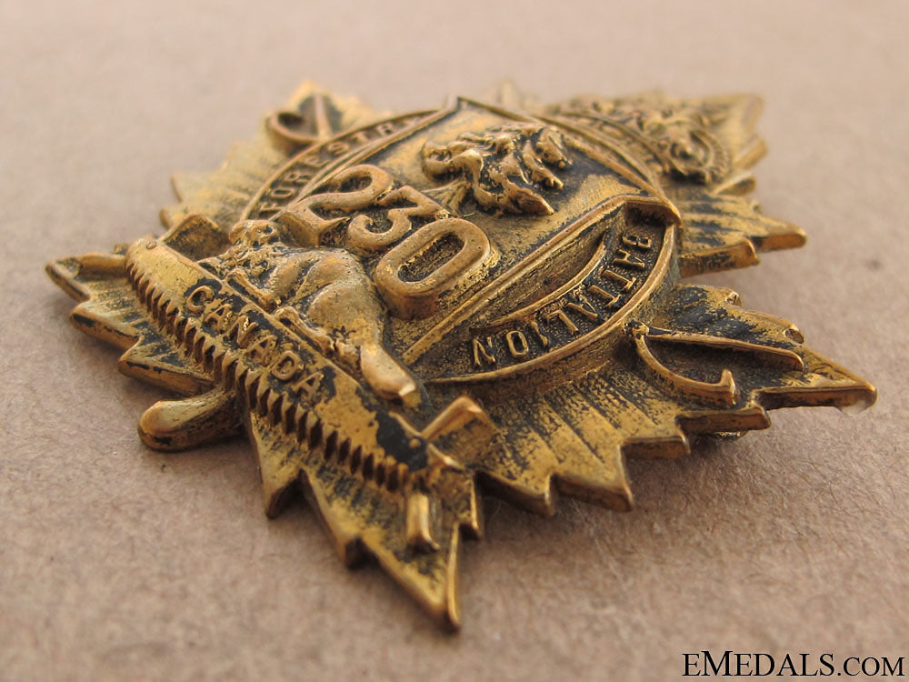 230_th_cef_battalion_cap_badge_3.jpg510bfd8642d02