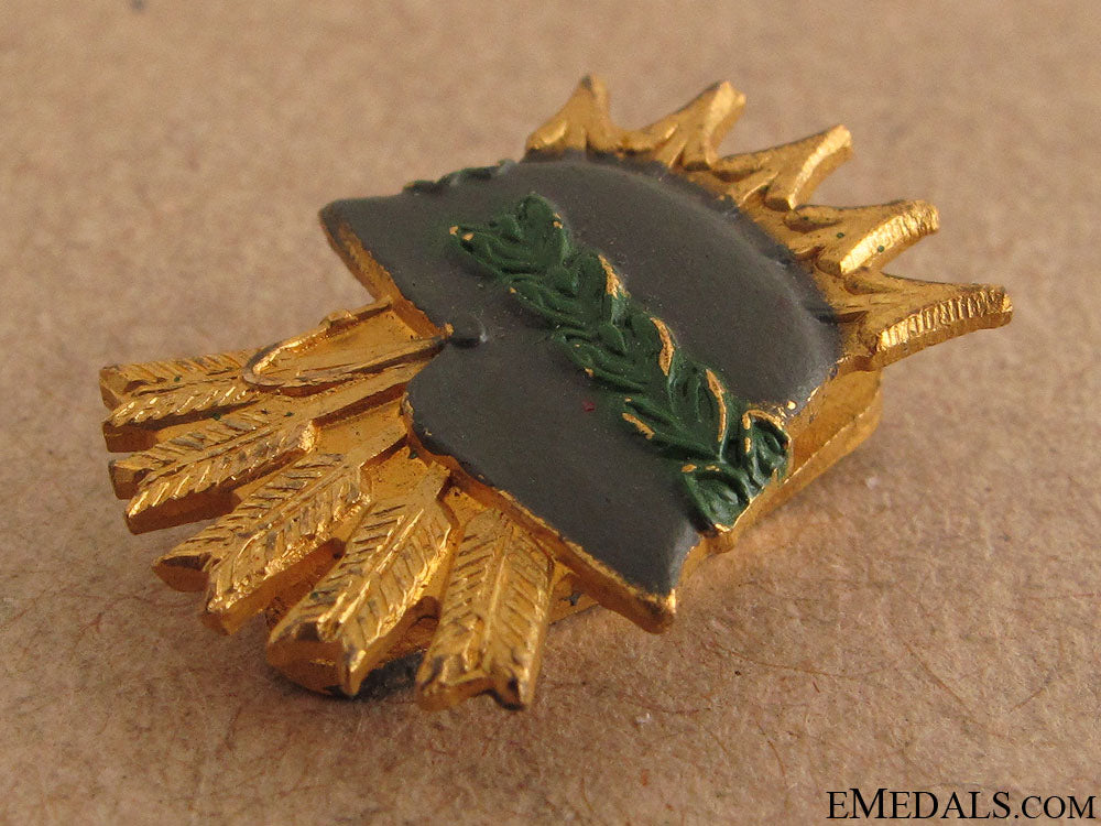 badge_of_the_spanish_blue_division_in_russia_3.jpg5193b32eb18f0