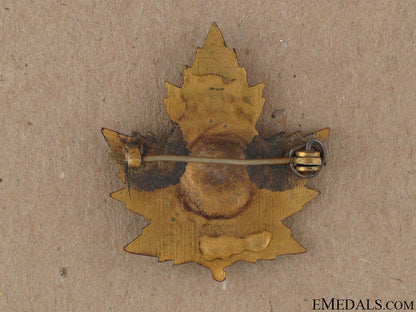 wwi_overseas_mounted_rifles_sweetheart_pin_42.jpg522e159d14915