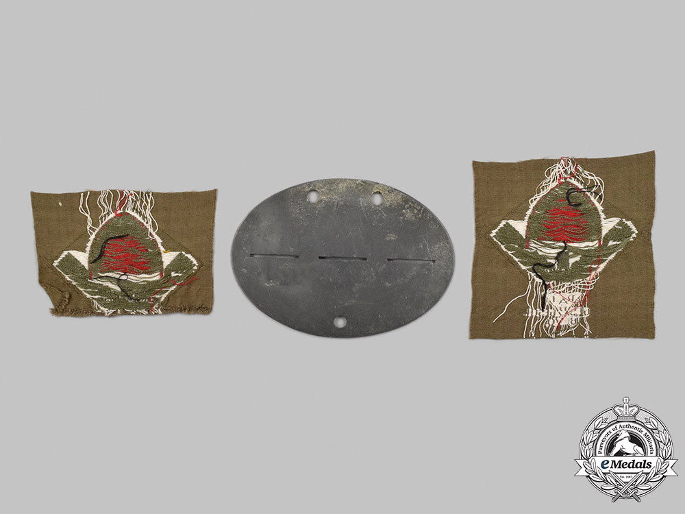 germany,_rad._a_mixed_lot_of_insignia_42_m21_mnc8756_1