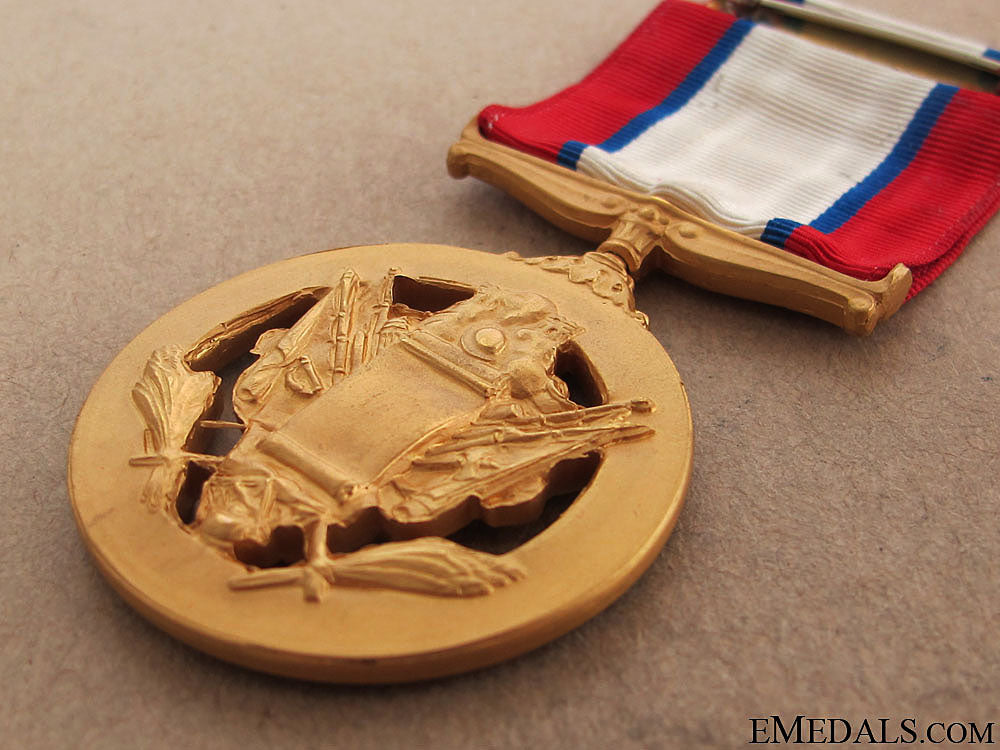 army_distinguished_service_medal_46.jpg510fc2b5893ad