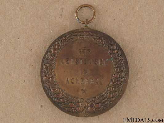 reichsnahrstand_merit_medal_47.jpg5231da653b7c9