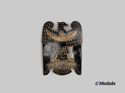 germany,_freikorps._a_silesian_eagle_i_class,_c.1935_e_medals__g61779_2