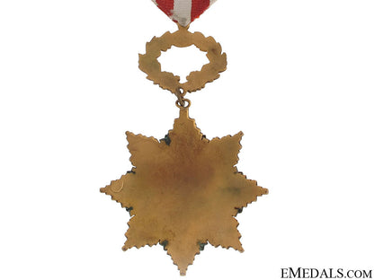 a_mexican_red_cross_decoration_4.jpg511d07301b580
