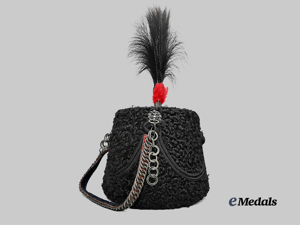 canada._a_queen’s_own_rifles_busby_with_plume_and_metal_case_e_medals__m0432-254_9