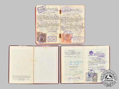yugoslavia,_kingdom._three_passports_issued_to_ella_ničolić-_podrinska_53_m21_mnc5450_1
