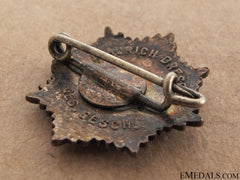 Rlb (National Air Raid Protection Union) Pin