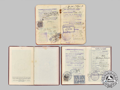 yugoslavia,_kingdom._three_passports_issued_to_ella_ničolić-_podrinska_54_m21_mnc5451_1