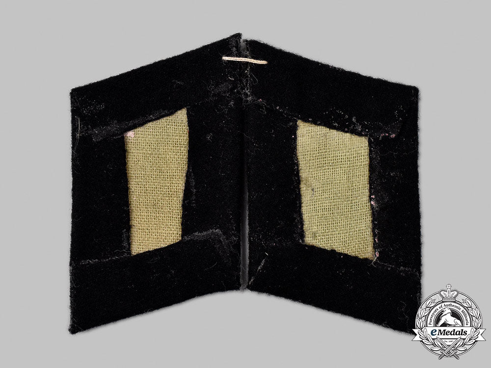 germany,_ss._a_set_of11_th_ss_volunteer_panzergrenadier_division_nordland_collar_tabs_61_m21_mnc3358