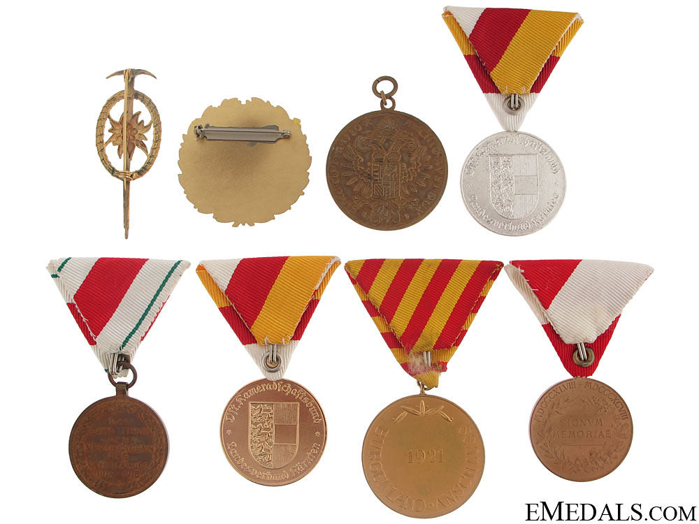 group_of_eight_austrian_medals_and_badges_62.jpg508fd6c70832c