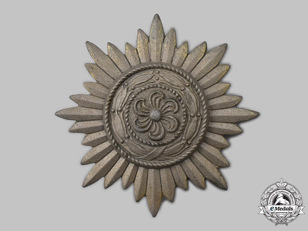 germany,_wehrmacht._an_eastern_people’s_merit_decoration,_i_class_in_gold,_with_case_65_m21_mnc6204_1_1