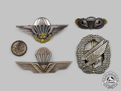 germany,_italy,_morocco,_united_kingdom,_united_states._a_lot_of_five_parachutist_badges_65_m21_mnc7103_1