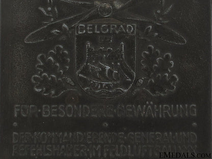 luftwaffe_special_achievement_plaque_6.jpg51a648f040f87