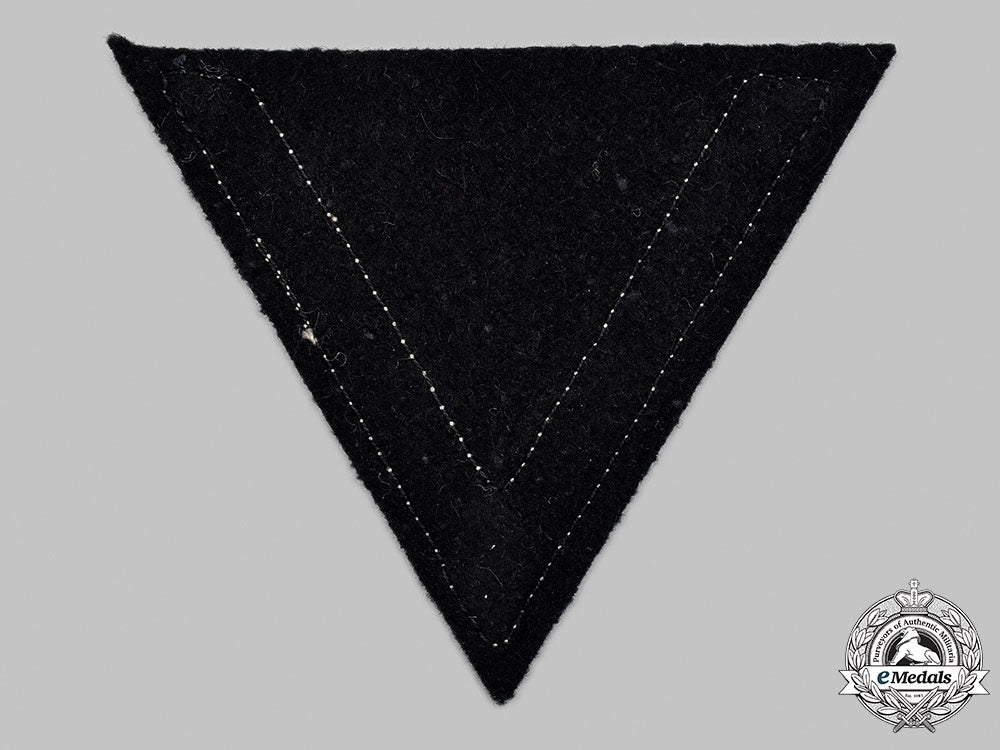 germany,_ss._an_honour_chevron_for_old_fighters_76_m21_mnc4243