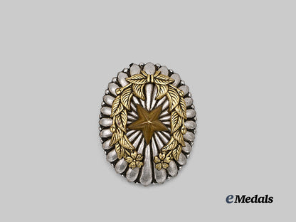 japan,_empire._a_field_officer’s_badge_e_medals__m0332-41_2