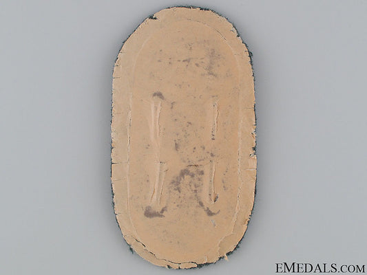 narvik_campaign_shield-_army_issue_7.jpg523879f93c255