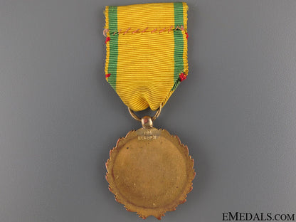 civil_war_period_patriotic_suffering_medal_8.jpg520d349b3ed37