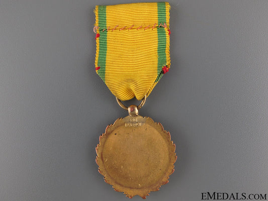 civil_war_period_patriotic_suffering_medal_8.jpg520d349b3ed37