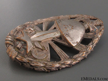 wwii_eastern_front_service_badge_of_honour_8.jpg5214d46fd2d88