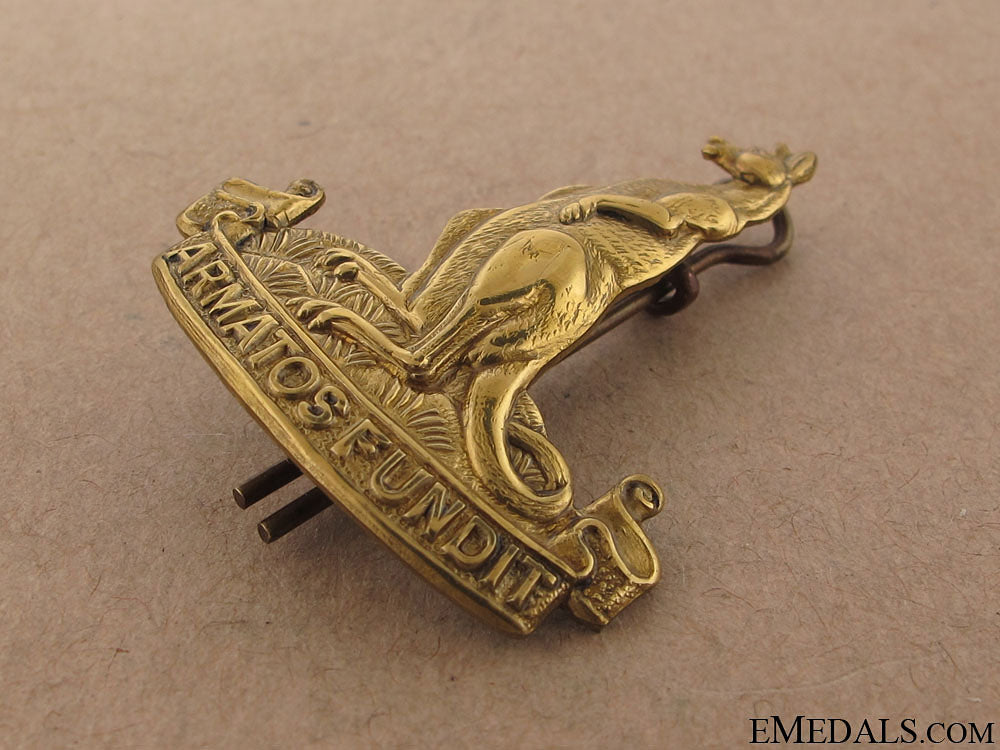 wwii1_st_canadian_armoured_carrier_regiment(1_cacr)_cap_badge_8.jpg50b3c0de64072