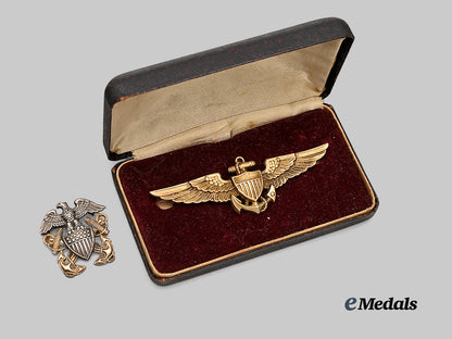 united_states._a_naval_aviation_pilots_wings_and_u_s_navy_officer’s_insignia_e_medals__w8484_3