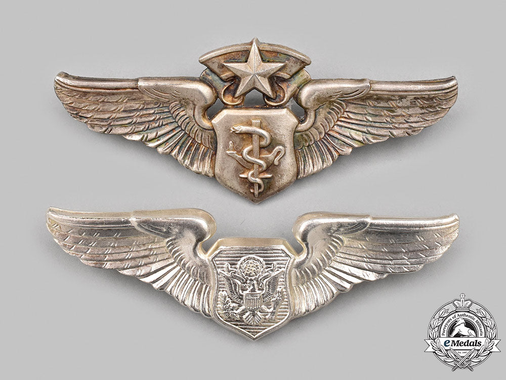 united_states._two_united_states_air_force(_usaf)_badges_96_m21_mnc8077_1
