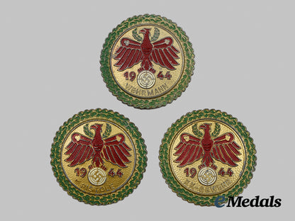 germany,_third_reich._a_complete_set_of_three1944_tirolean_marksmanship_badges__a_i1_0411