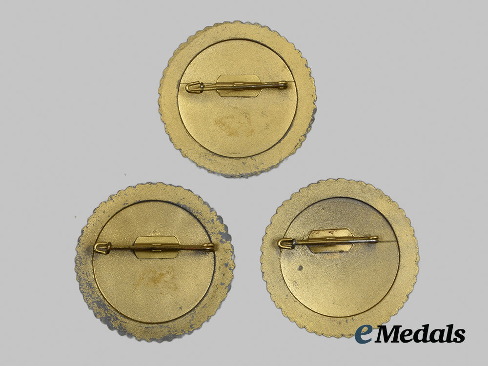 germany,_third_reich._a_complete_set_of_three1944_tirolean_marksmanship_badges__a_i1_0412