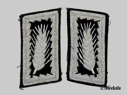 germany,_r_a_d._a_set_of_arbeitsführer/_oberarbeitsführer_collar_tabs__a_i1_1274