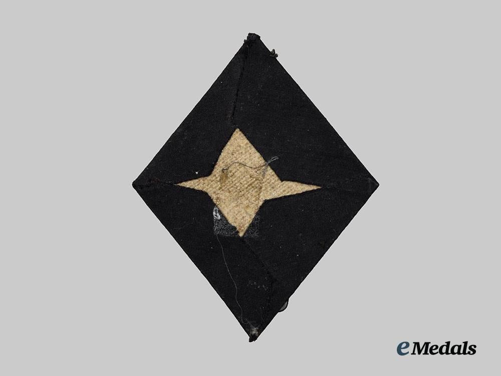 germany,_n_s_d_a_p._a_political_leader_sleeve_insignia__a_i1_2547