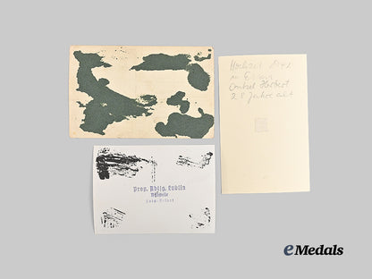 germany,_s_s._a_lot_of_wartime_waffen-_s_s_photos_with_rare_awards_and_insignia_e_medals__m0405-108_16