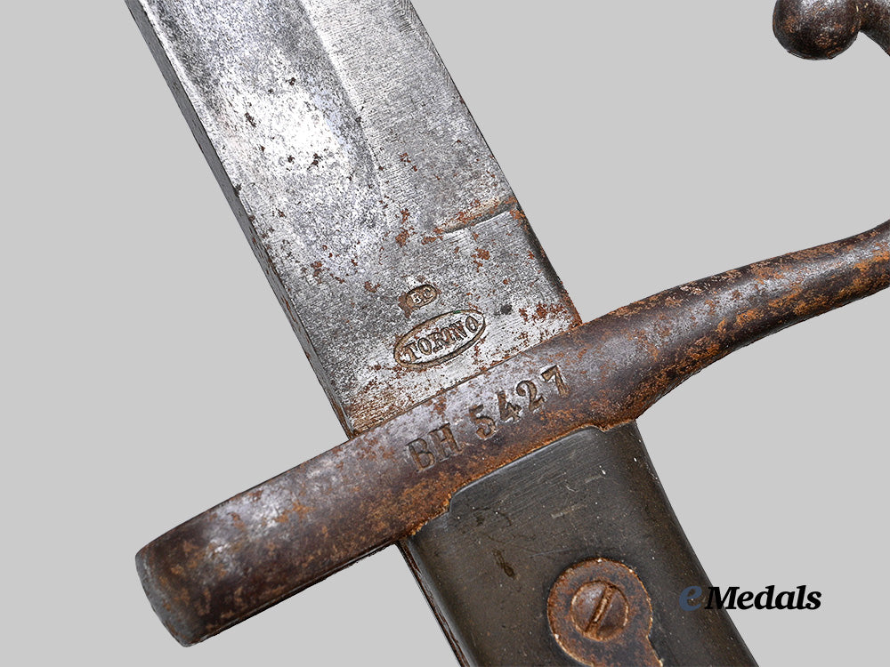 italy,_kingdom._an_m1871/1915_vetterli_rifle_bayonet_e_medals__e_u24847_9