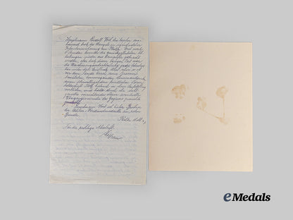 austria,_imperial._an_order_of_franz_joseph_documents&_correspondence_e_medals__e_u24856_11