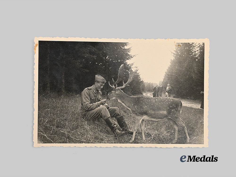 germany,_s_s._a_lot_of_wartime_waffen-_s_s_photos_with_rare_awards_and_insignia_e_medals__m0405-108_13