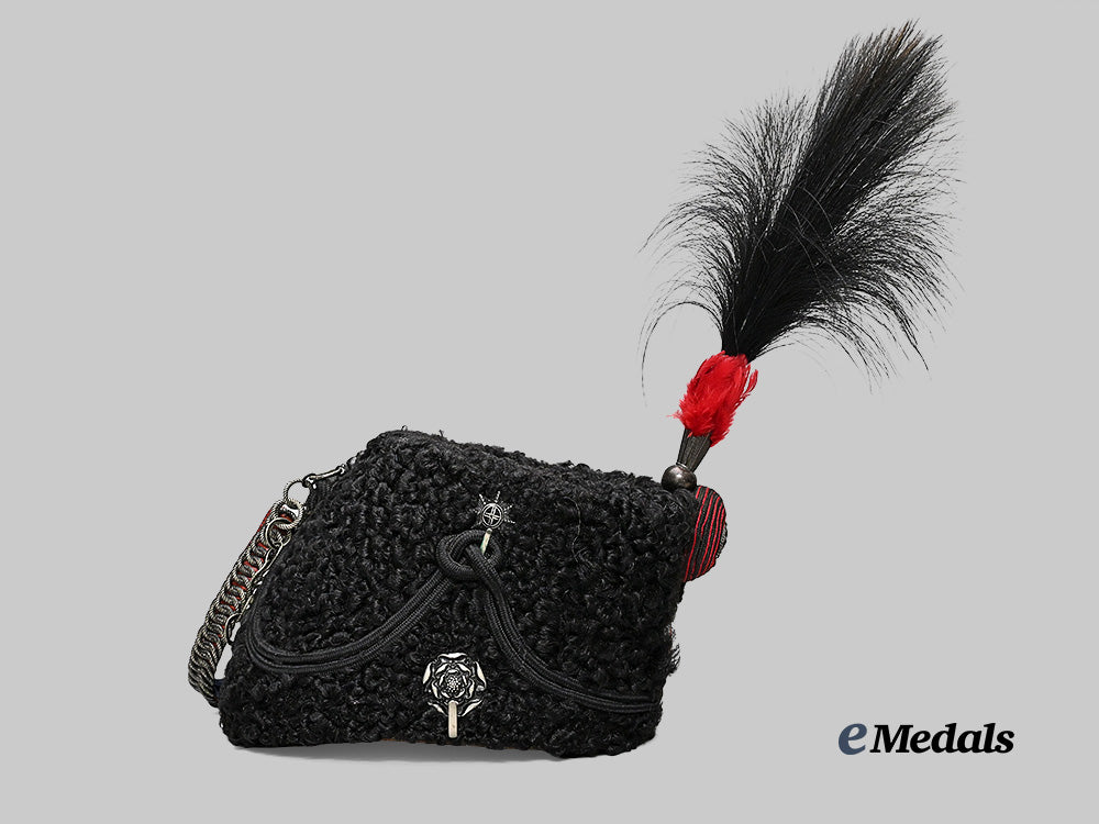 canada._a_queen’s_own_rifles_busby_with_plume_and_metal_case_e_medals__m0432-254_8