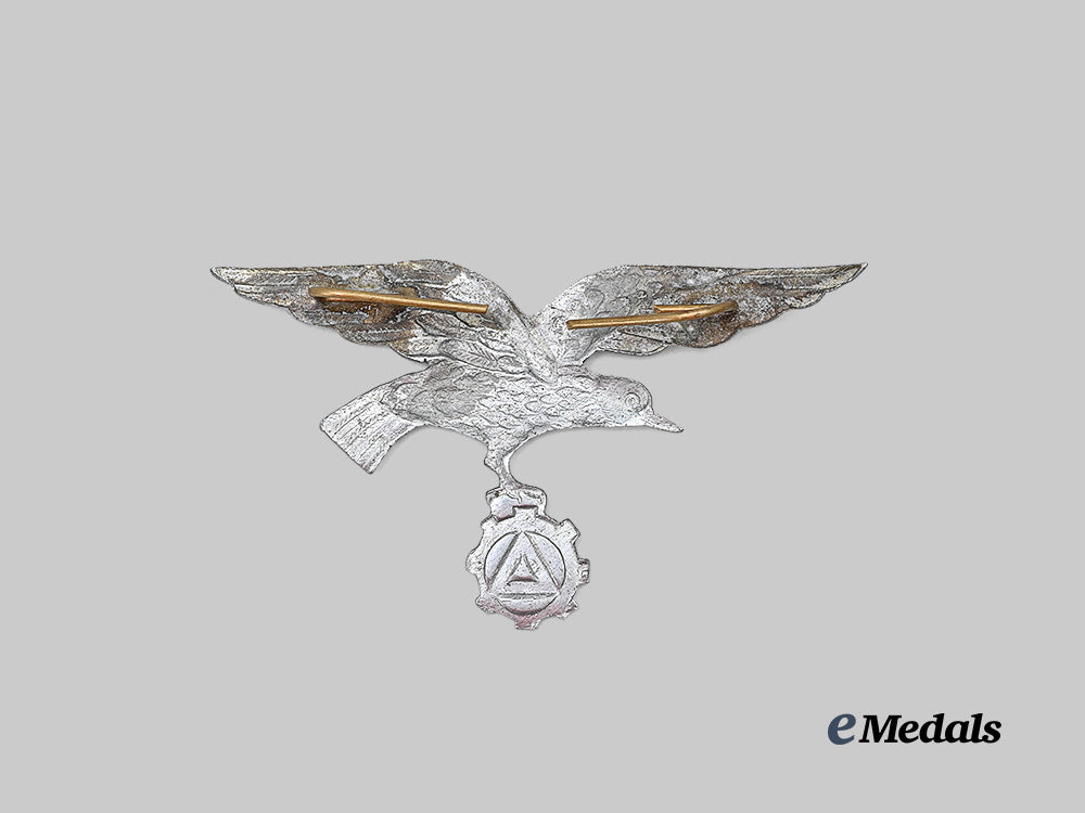 belgium,_v_n_v._a_flemish_factory_guard_cap_eagle_e_medals__e_u24920_3