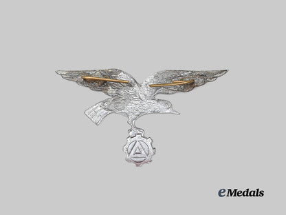 belgium,_v_n_v._a_flemish_factory_guard_cap_eagle_e_medals__e_u24920_3