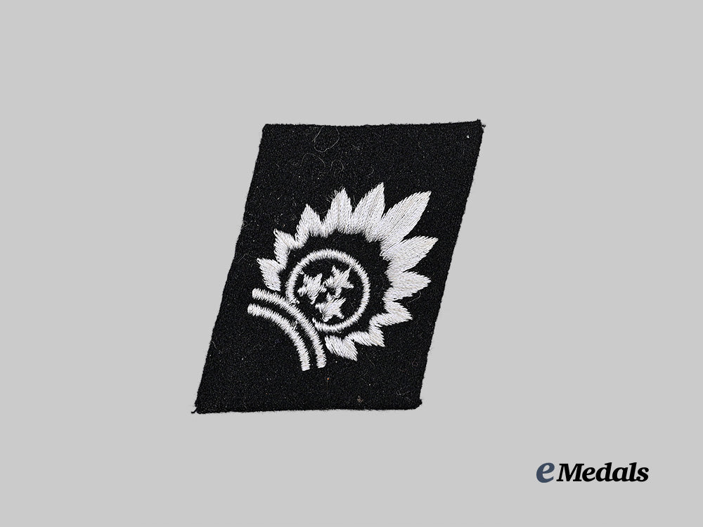 germany,_s_s._a19th_waffen_grenadier_division_of_the_s_s(1st_latvian)_volunteer's_collar_tab_e_medals__g63001_2