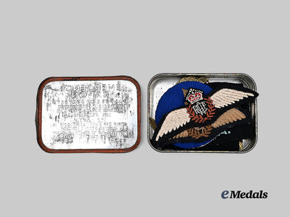 united_states._an_r_c_a_f&'_mighty8th'_airforce_pilot's_grouping_e_medals__w8655_22