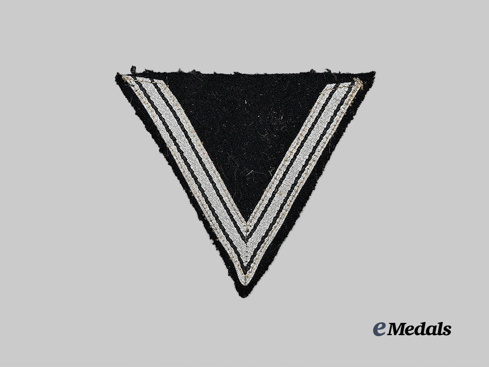 germany,_s_s._an_honour_chevron_for_old_fighters_e_medals__g63015_2