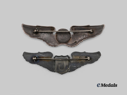 united_states._a_second_war_glider_pilot_badge_and_interwar_aircraft_observer_badge_e_medals__m0706-23_3