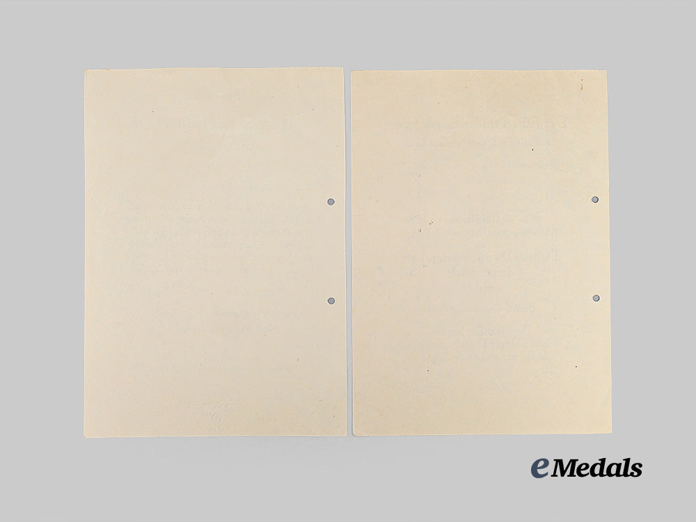 germany,_ss._a_fine_document_group_to_the5_th_ss_polizei,_regiment16_e_medals__g26241_6