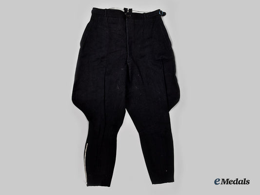 germany,_d_a_f._a_pair_of_german_labour_front_werkschar_breeches__l22__m_n_c4770_542