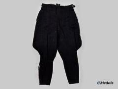 Germany, DAF. A Pair of German Labour Front Werkschar Breeches