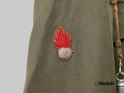 canada,_c_e_f._a_fine_officer's_tunic_to_a_minister_with_the215th_battalion,_by_a._brown&_sons_e_medals__c7693_9