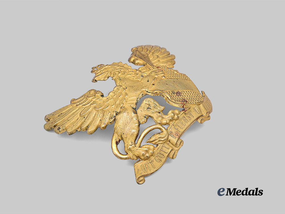 baden,_grand_duchy._a_pickelhaube_plate_e_medals__g62658_4